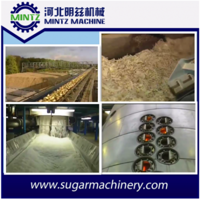 sugarbeet making white sugar processing machine